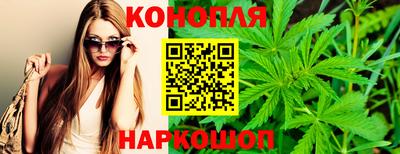 сатива Новокубанск