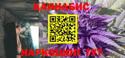 сатива Новокубанск
