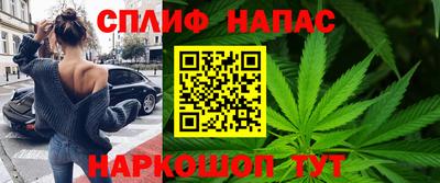 сатива Новокубанск