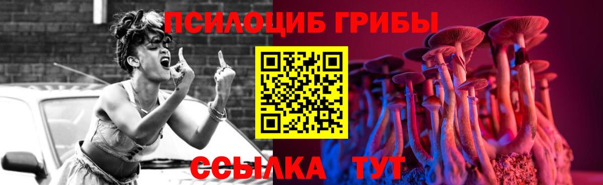 Псилоцибиновые грибы мицелий  Вход с VPN  Советская Гавань 